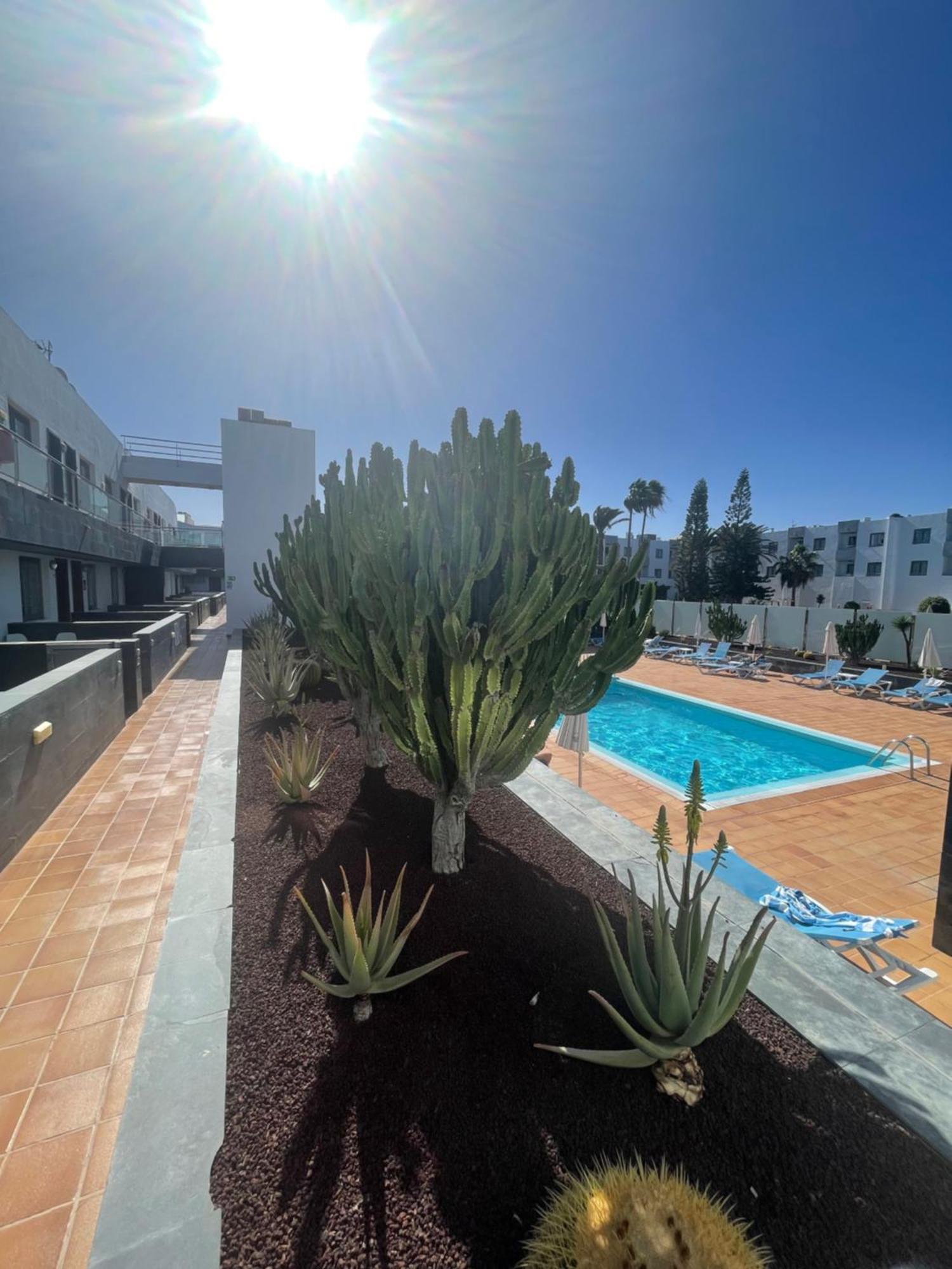 Sunrise Corralejo Leilighet Eksteriør bilde